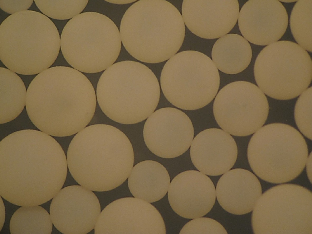 AmberLite IRC83 H杜邦弱酸陽離子交換樹脂···