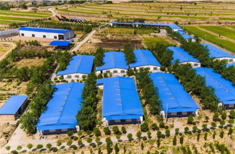 養(yǎng)殖場污水一般怎么處理？處理養(yǎng)殖場污水時(shí)有哪些問題？