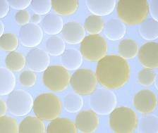 AmberTec MR-3 LC H/OH 杜邦超純水離···