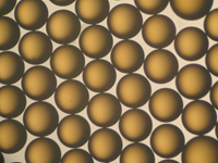 AmberLite IRN97 H杜邦強酸陽離子交換樹脂···